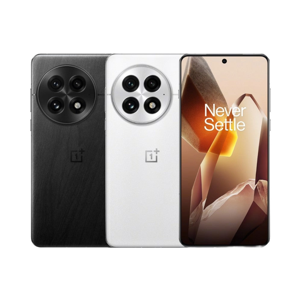 OnePlus 13