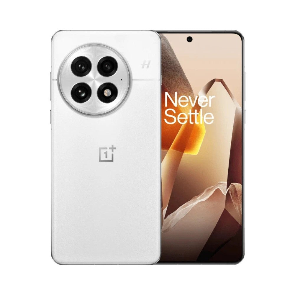 OnePlus 13