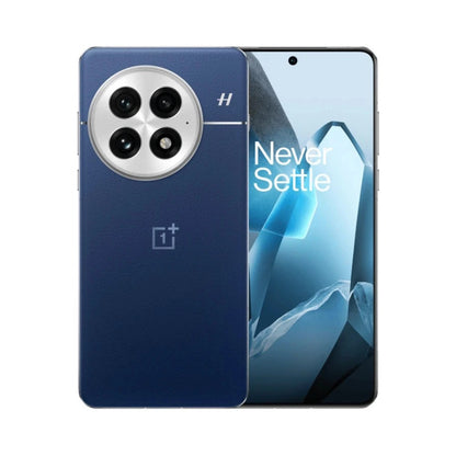 OnePlus 13