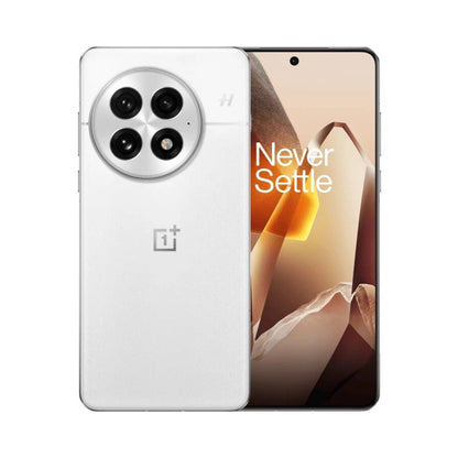 OnePlus 13